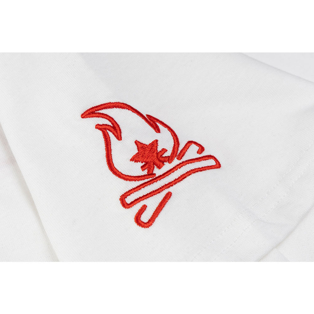 Hip hop shirt vintage flame embroidered short sleeve t-shirt summer loose top