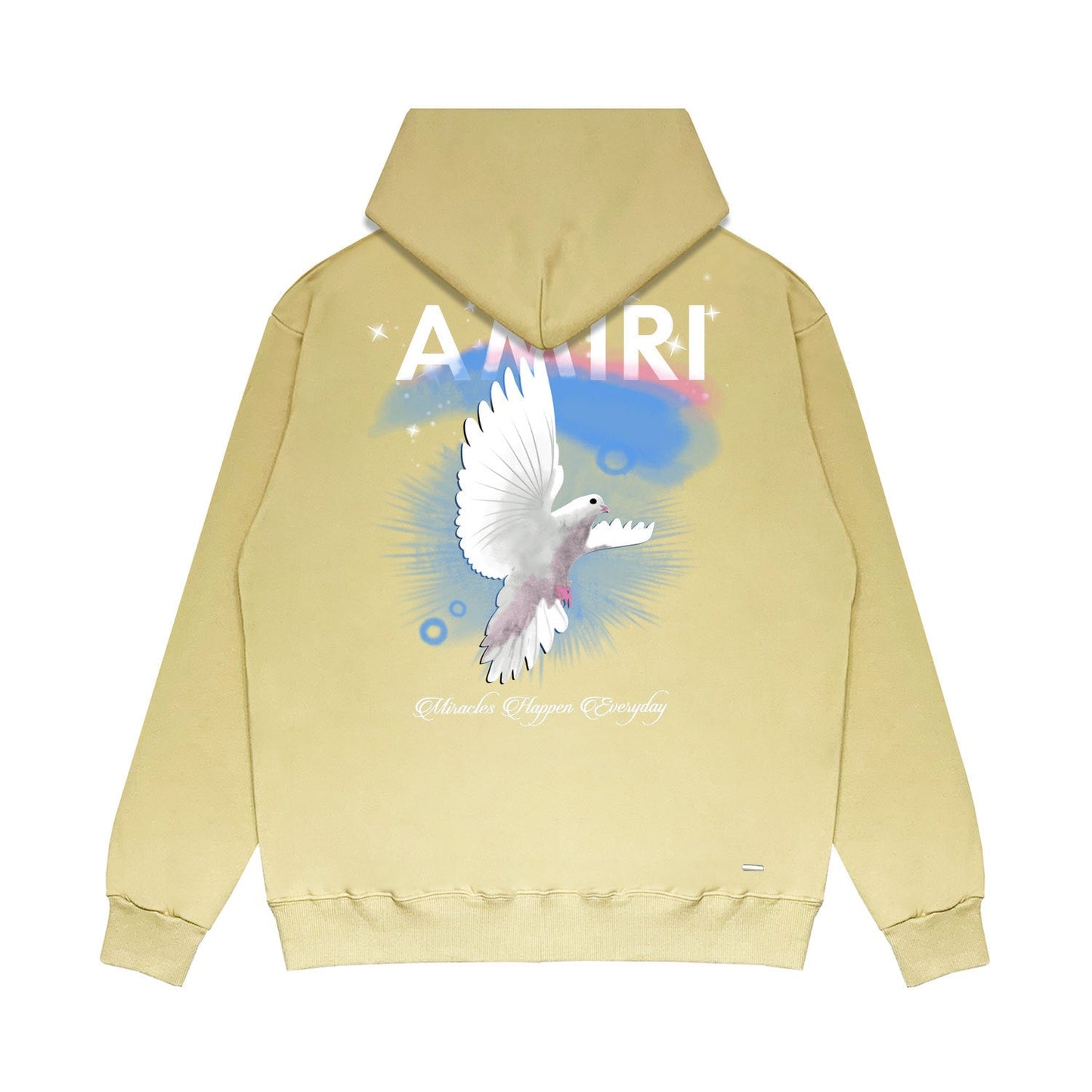 Amiri Hooide Sweatshirts