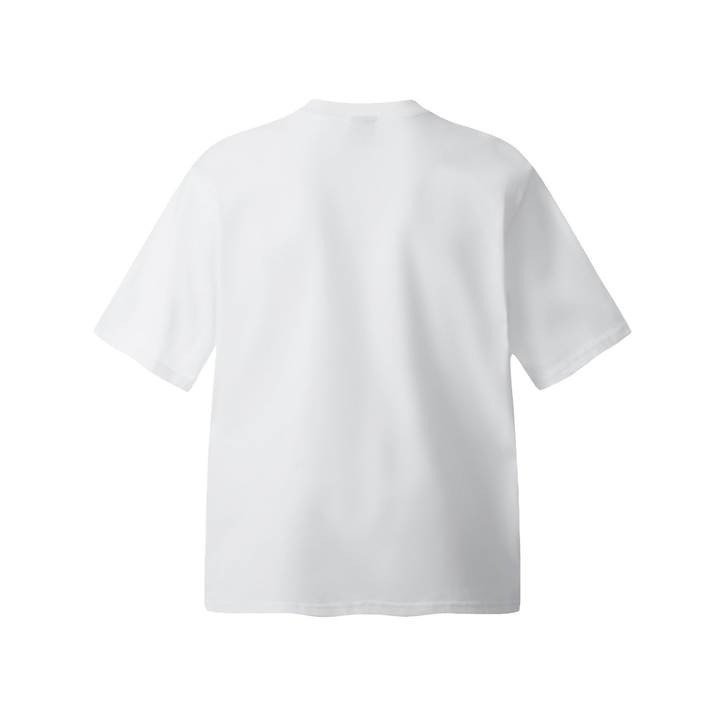 Unisex T-shirts Old Design Premium Loose T-Shirts